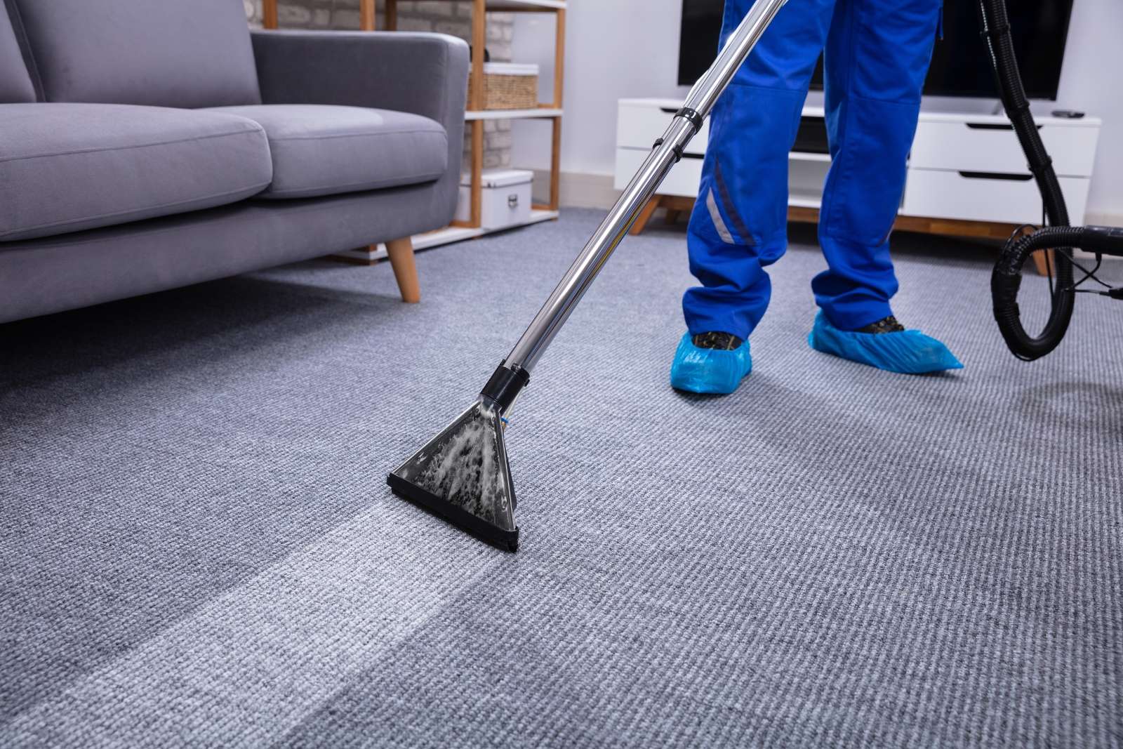 professional carpet cleaning adelaide