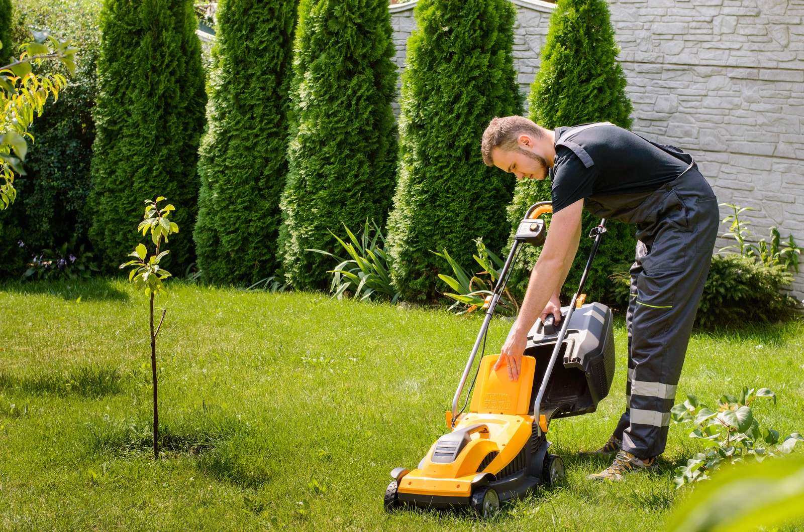 benefits of regular yard maintenance
