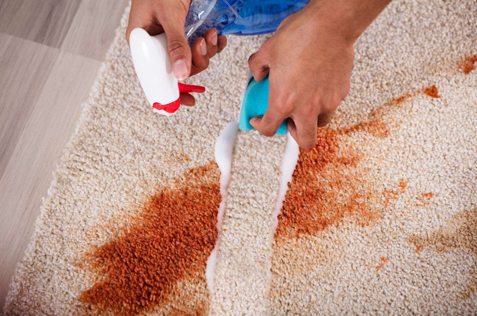 calling professional for cleaning red wine stains on carpet