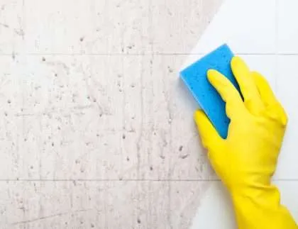 deep cleaning vs regular cleaning