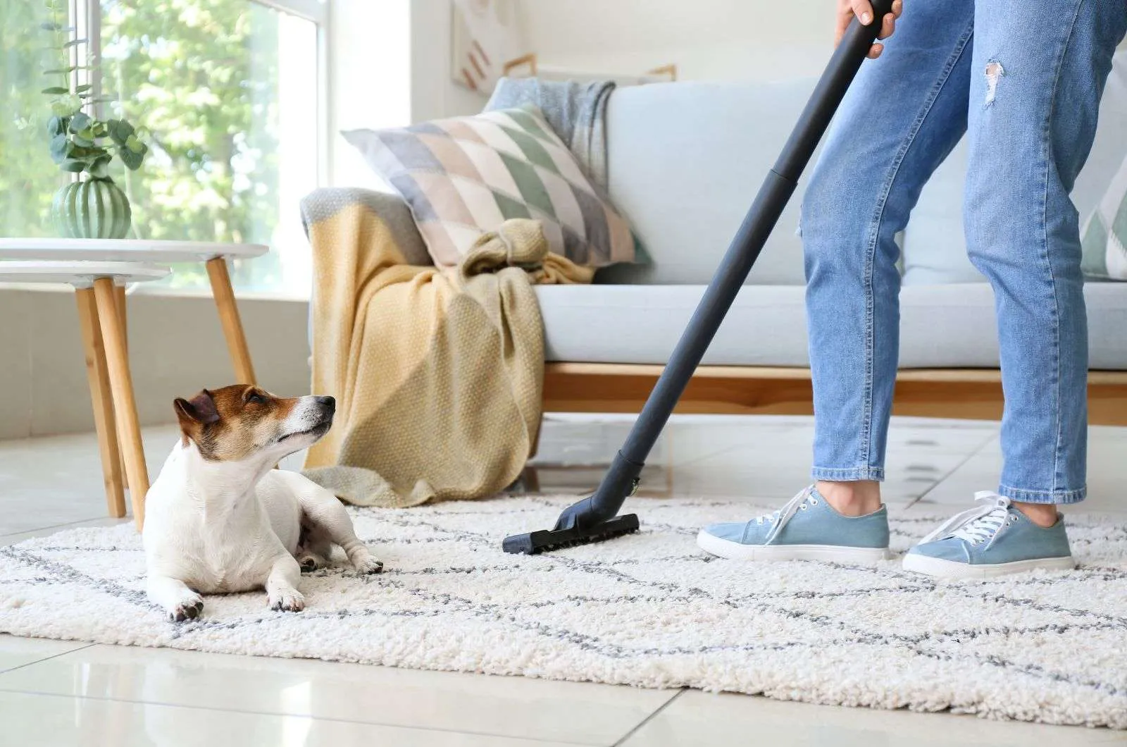 Health Benefits of Professional Carpet Cleaning
