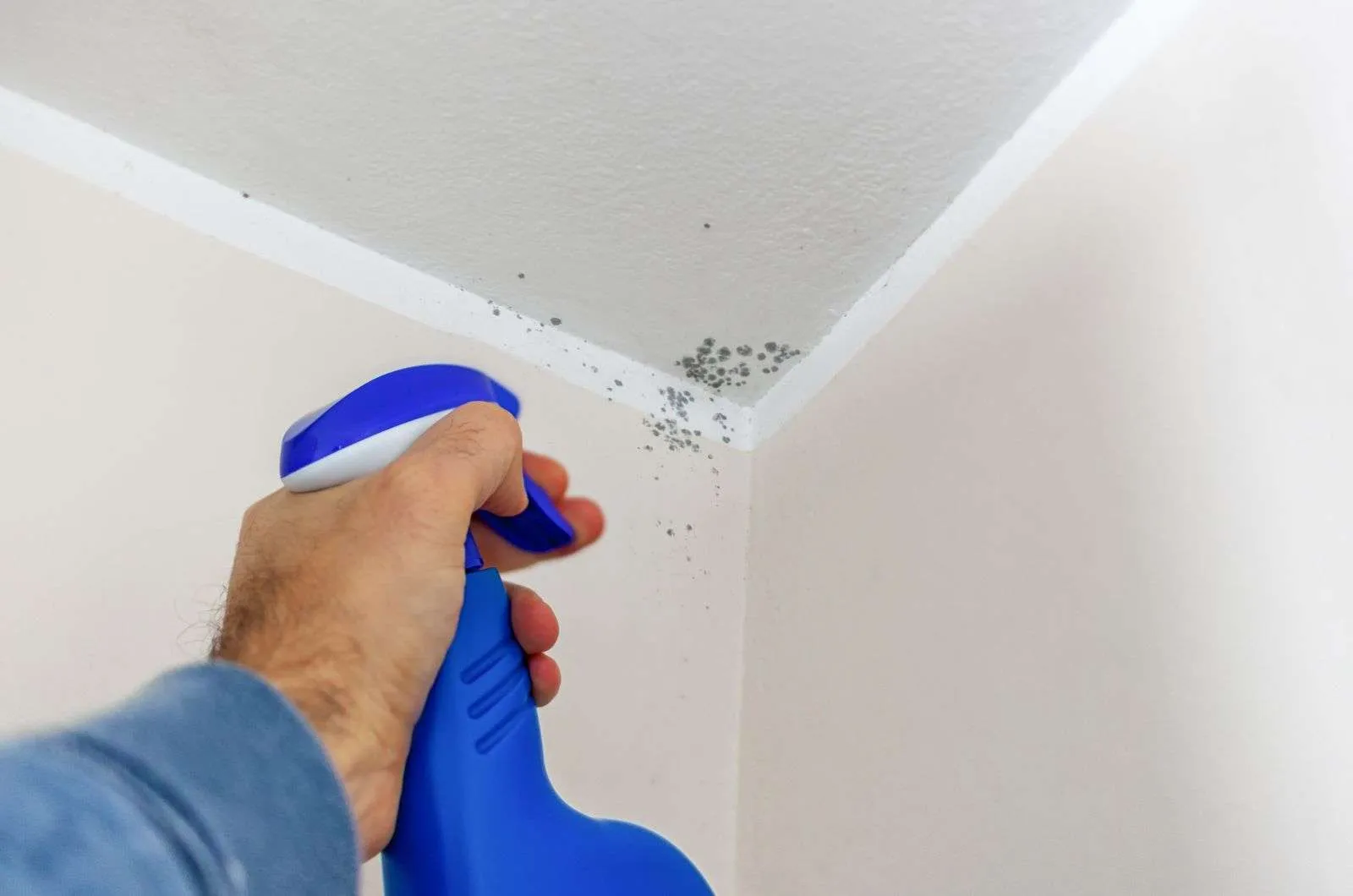 using paint removers