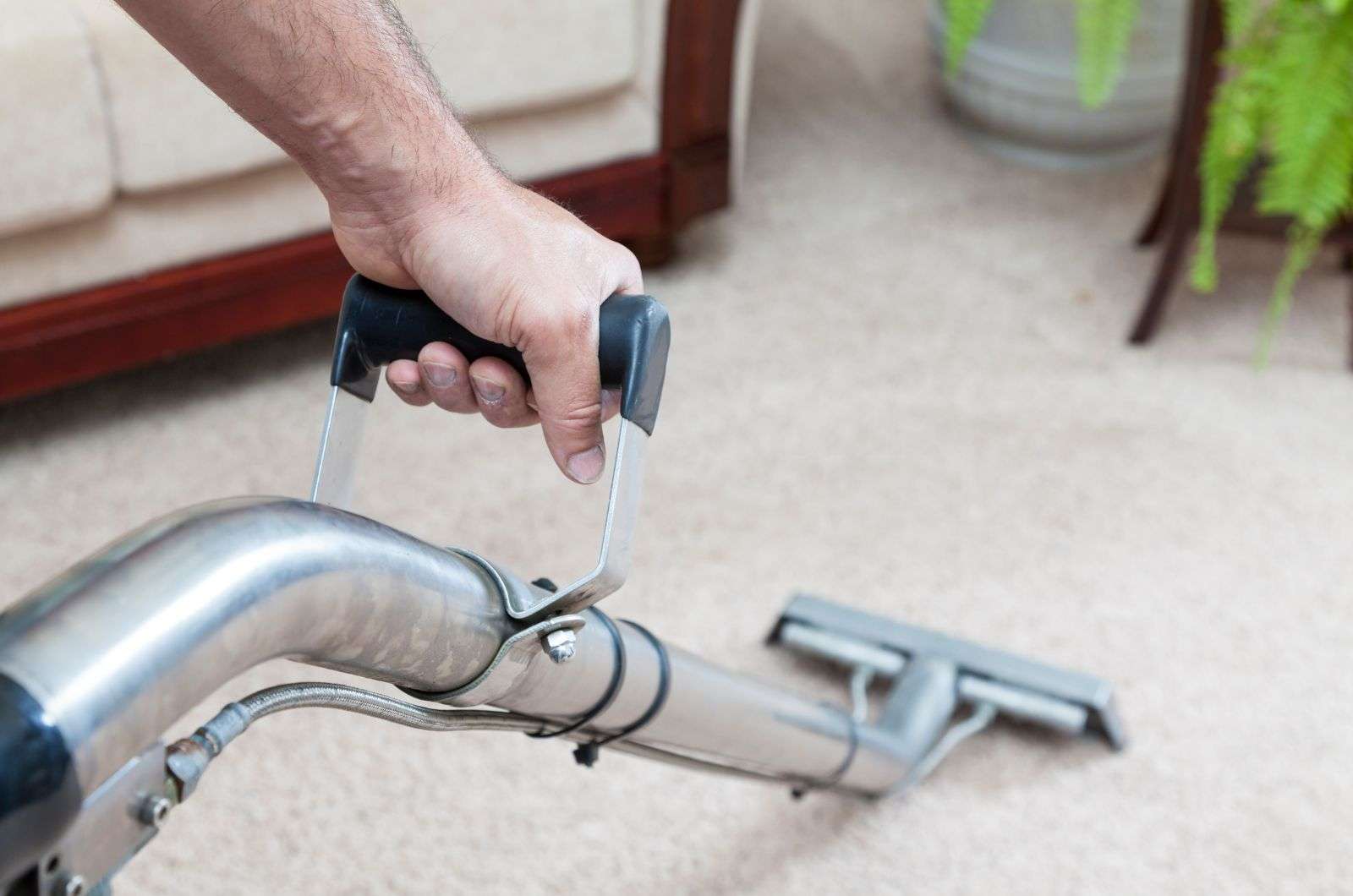 Choosing Between Steam and Dry Carpet Cleaning