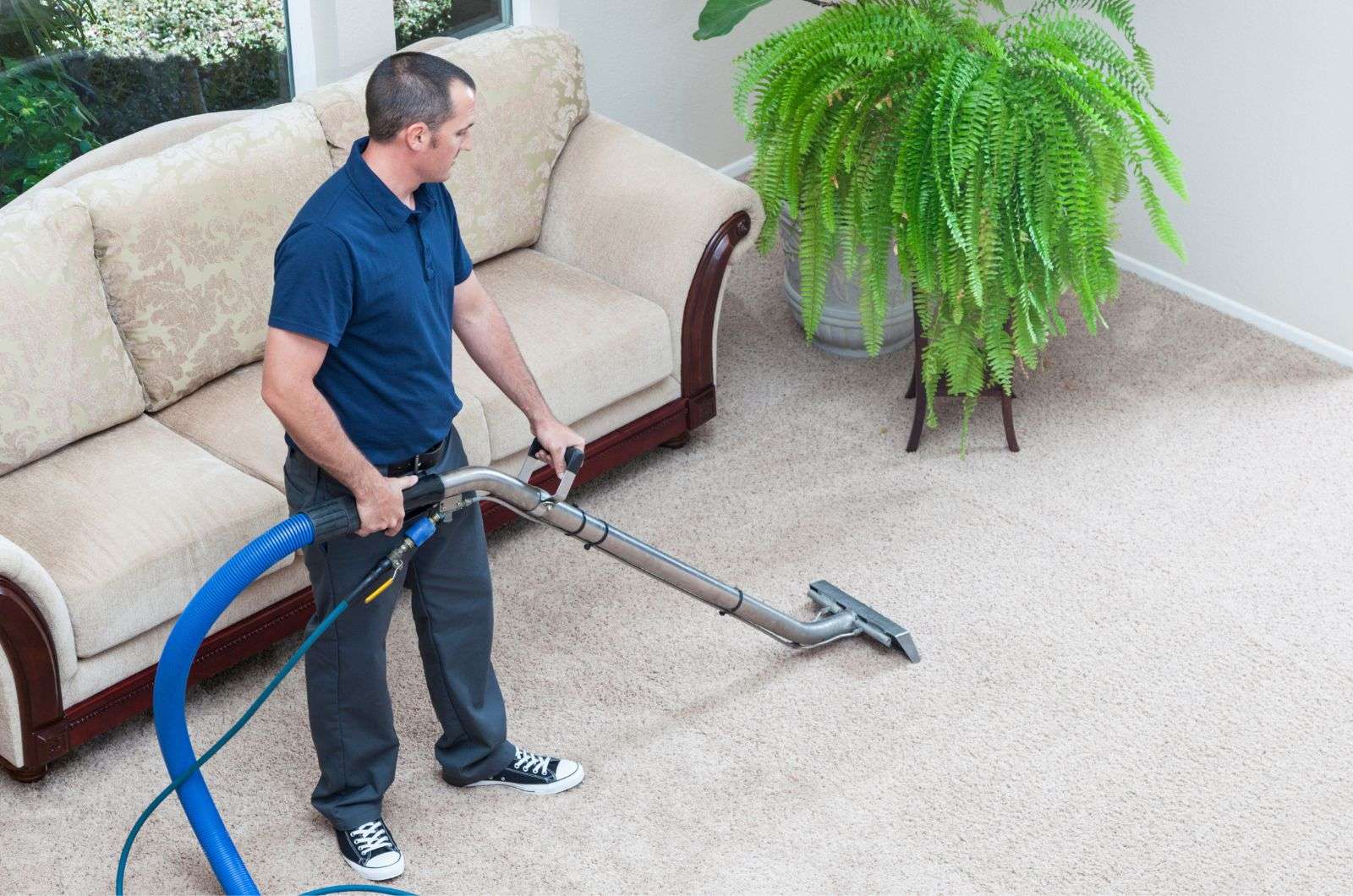 DIY vs Professional Steam Cleaning Carpet