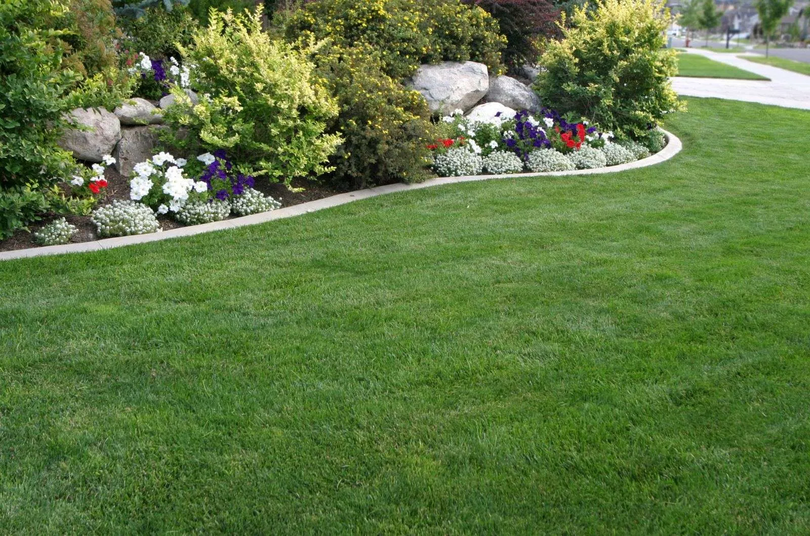 Factors That Influence Lawn Mowing Costs