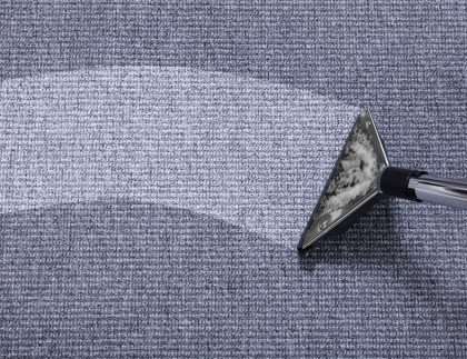 How Much Does Carpet Cleaning Cost in Sydney