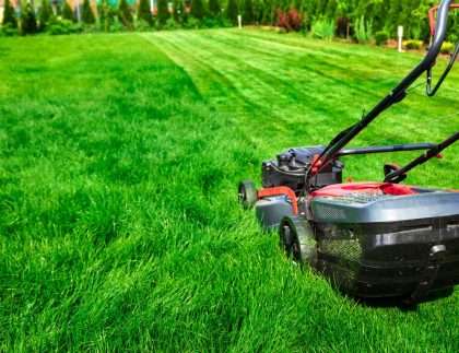 How Much Does It Cost to Mow the Lawn in Gold Coast