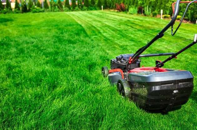 How Much Does It Cost to Mow the Lawn in Gold Coast