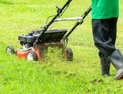 How Much Does Lawn Mowing Cost in Sydney