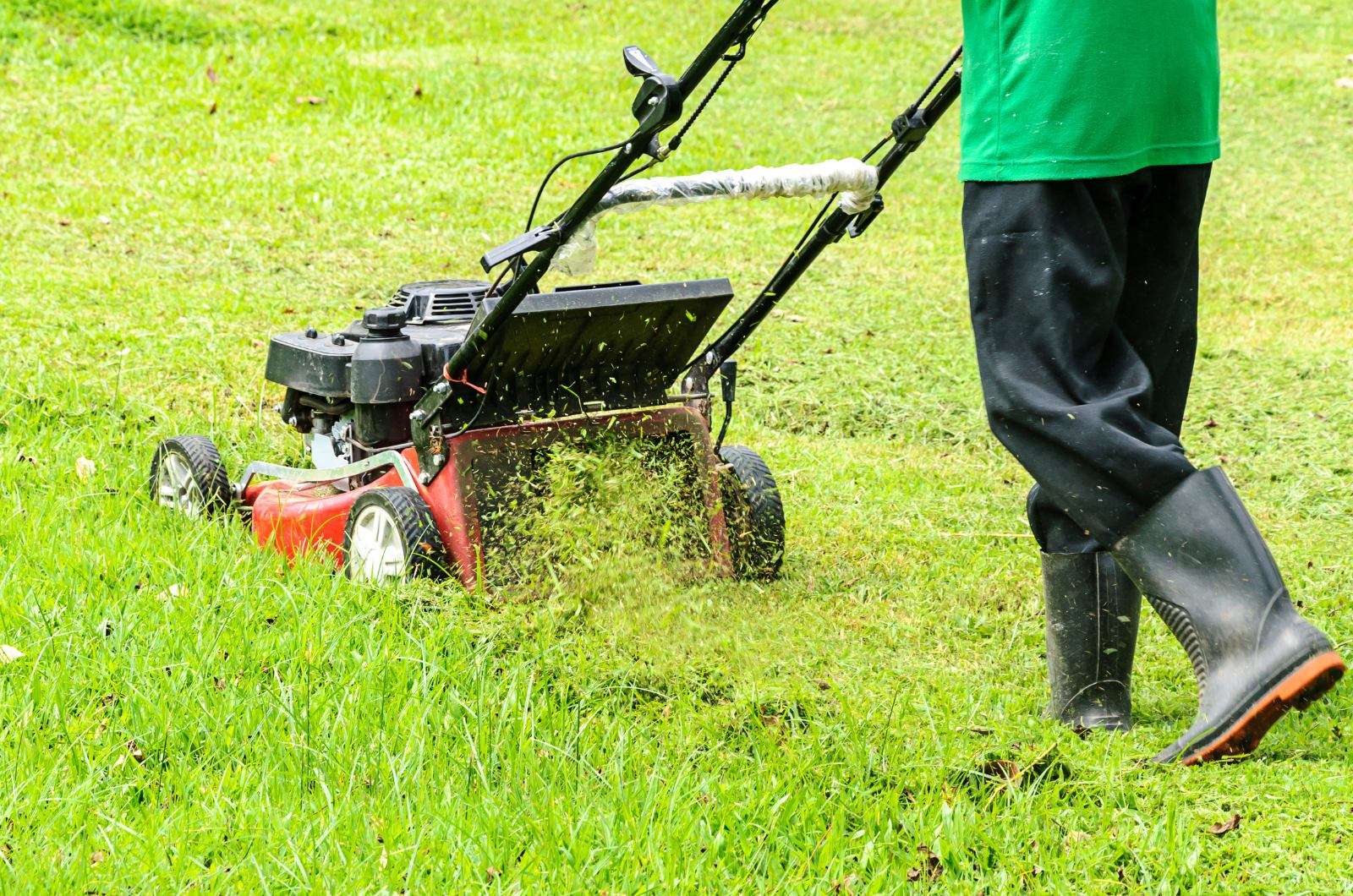 How Much Does Lawn Mowing Cost in Sydney