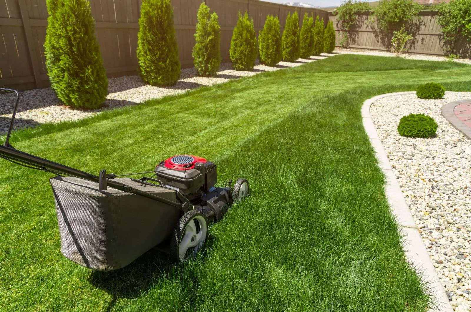 How Often Should You Mow Your Lawn