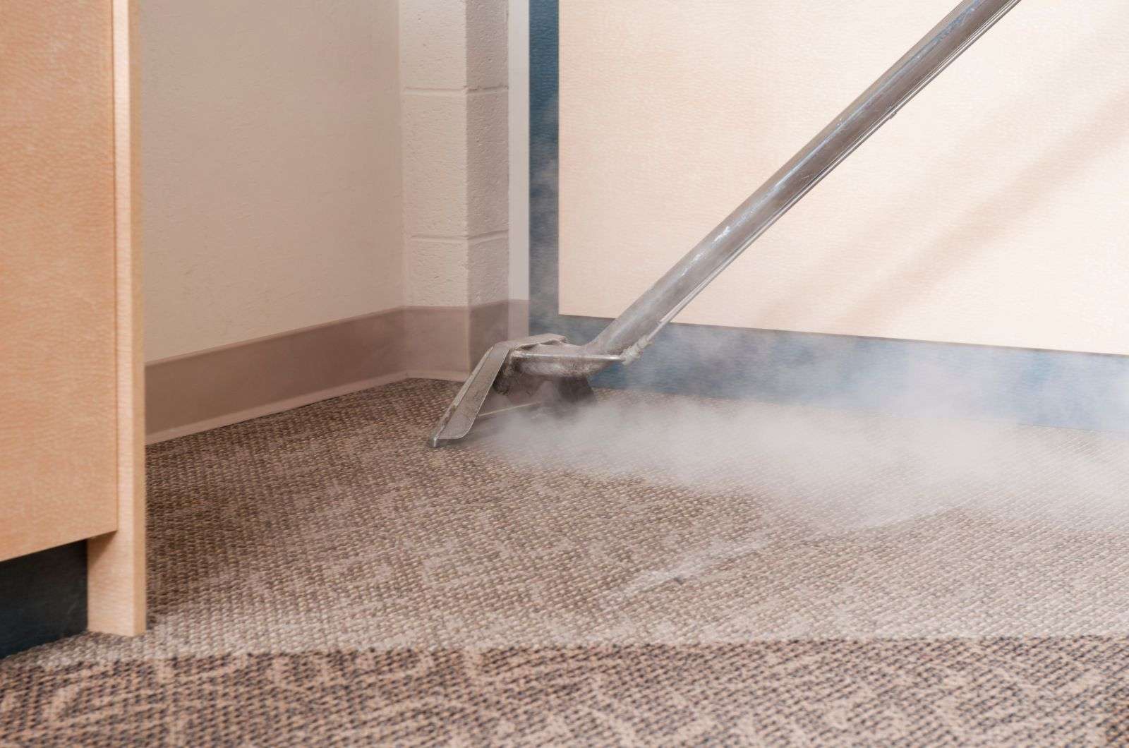 When You Should Steam Clean Your Carpets