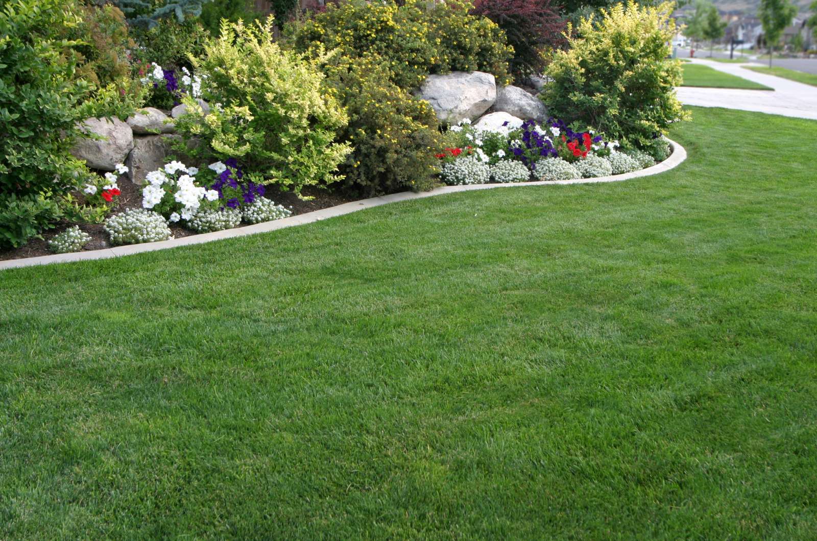 Yard Maintenance Service