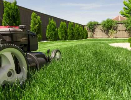 How Much Does Lawn Mowing Cost in Canberra
