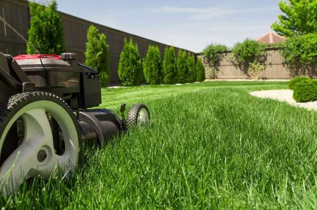 How Much Does Lawn Mowing Cost in Canberra