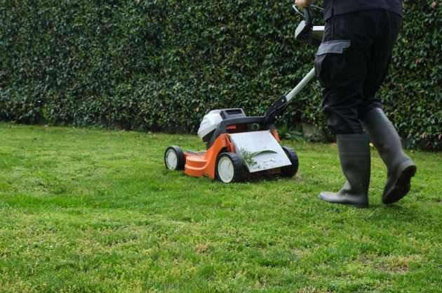 How Much Does Lawn Mowing Cost in Darwin