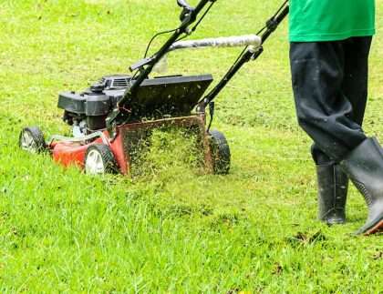How Much Does Lawn Mowing Cost in Perth