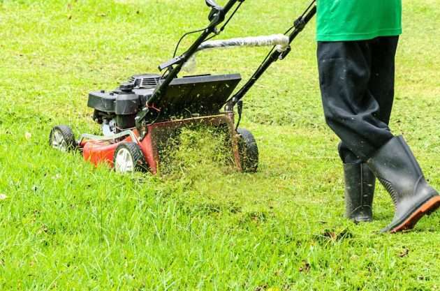 How Much Does Lawn Mowing Cost in Perth