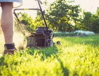 How Much Does Lawn Mowing Cost in Wollongong 2 How Much Does Lawn Mowing Cost in Wollongong