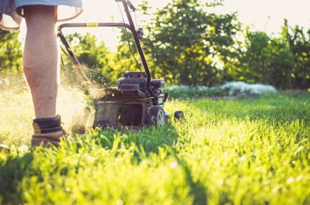 How Much Does Lawn Mowing Cost in Wollongong