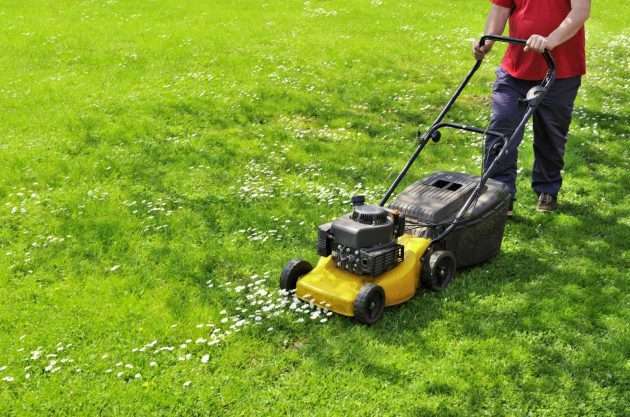 How Much Does Lawn Mowing Cost in Adelaide