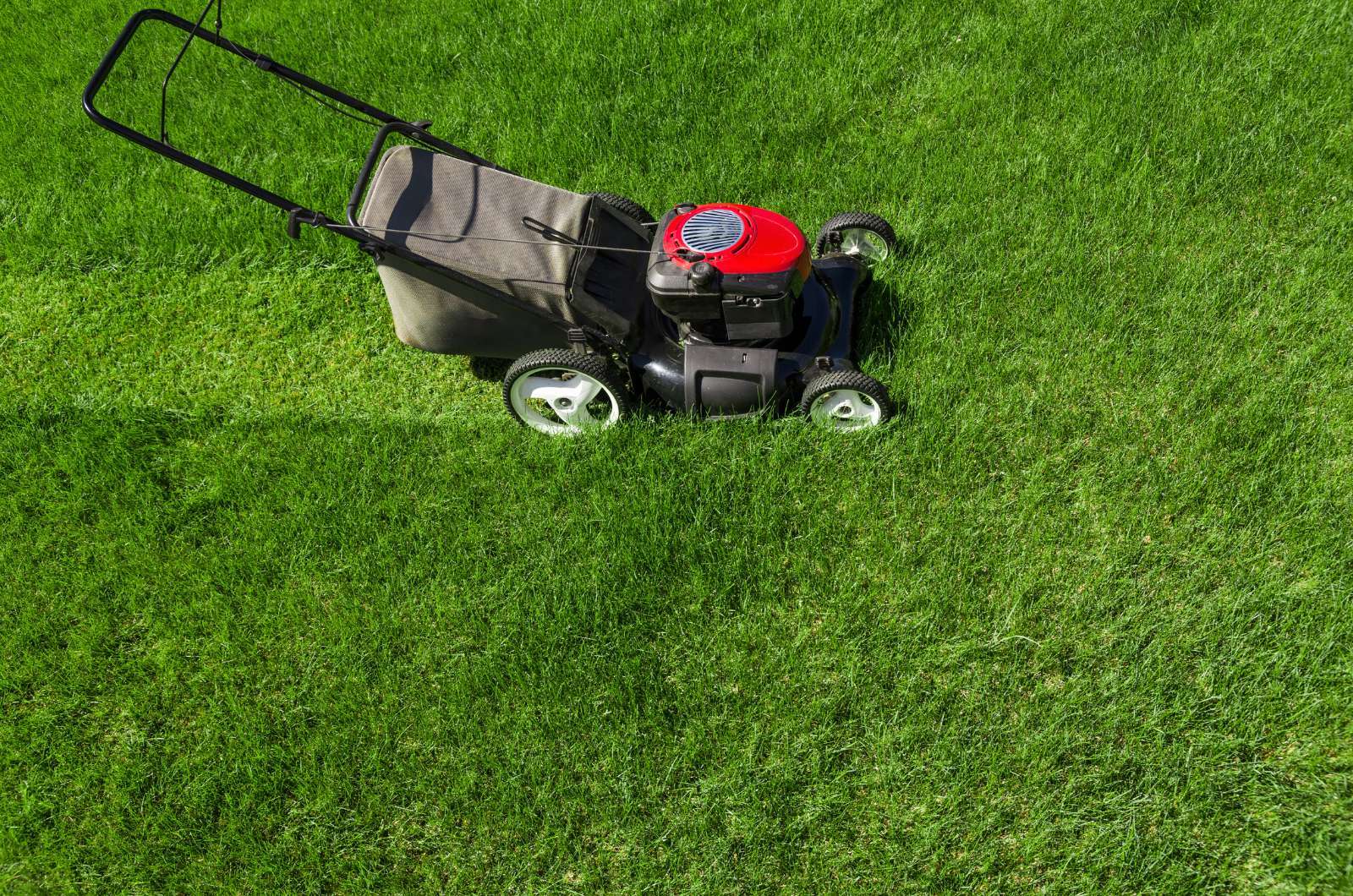 Key Factors That Influence Lawn Mowing Costs in Canberra