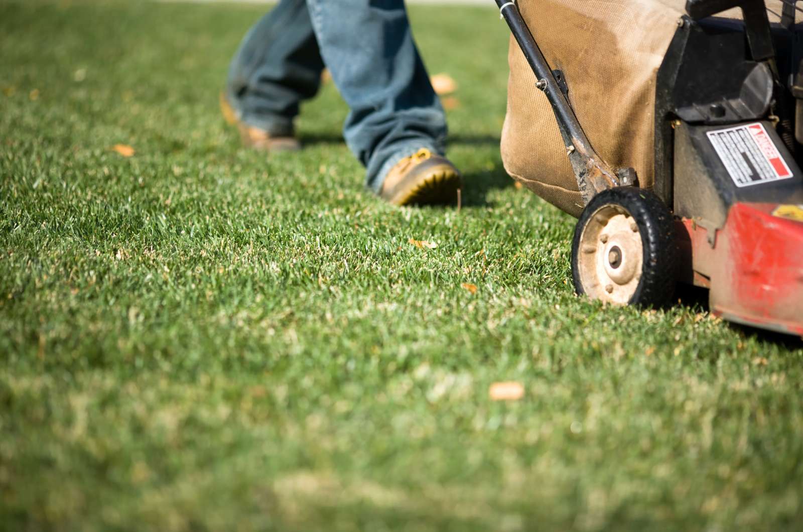 Making Life Easier with NDIS Cleaning Support