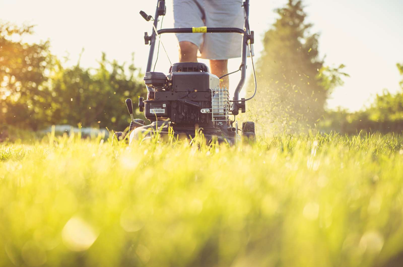 Tips to Save on Lawn Mowing Costs