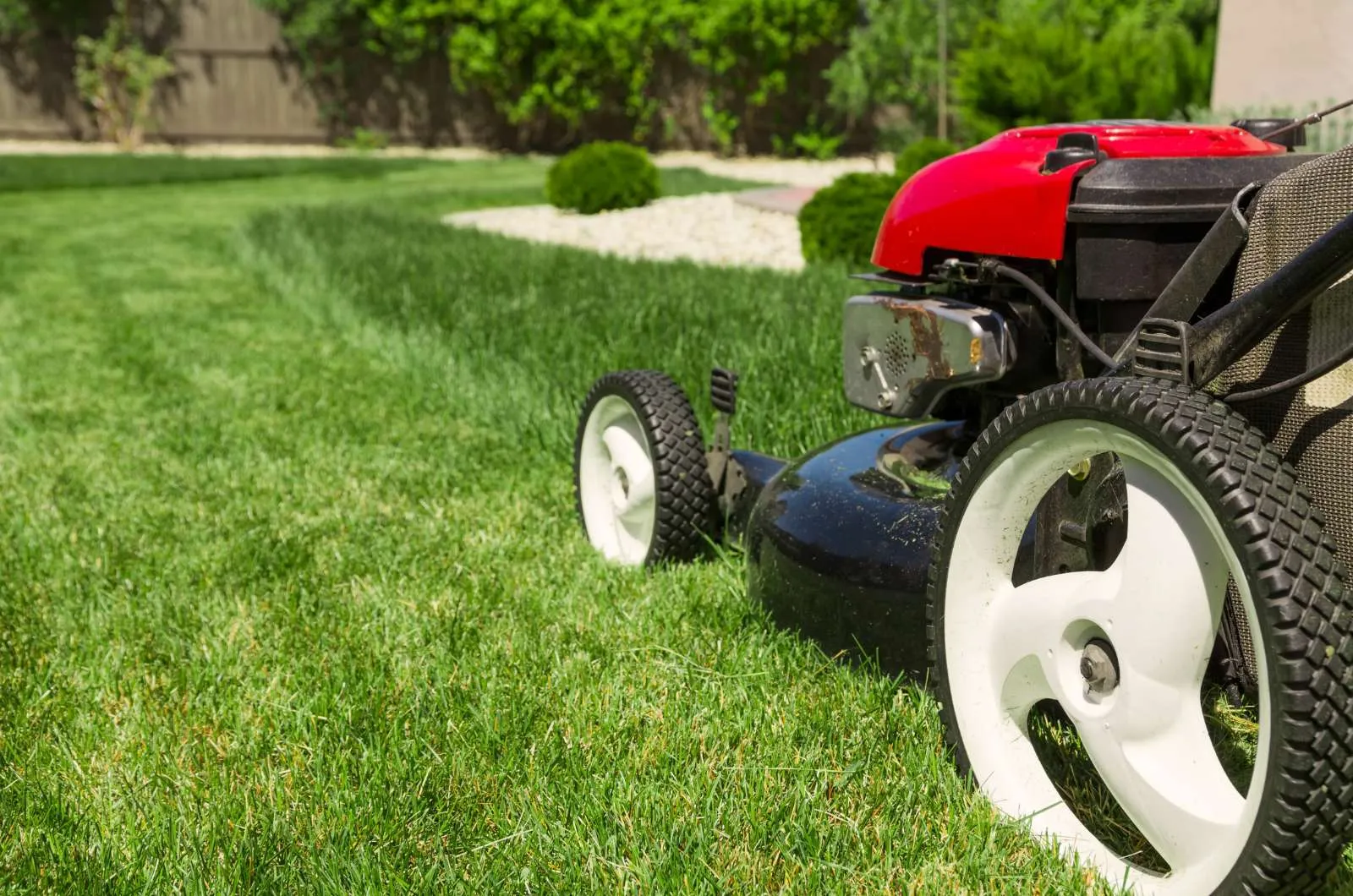 Tips to Save on Lawn Mowing Costs
