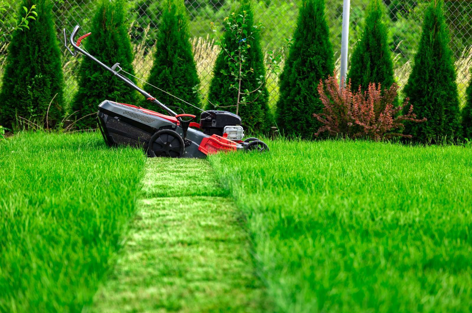 Tips to Save on Lawn Mowing Costs