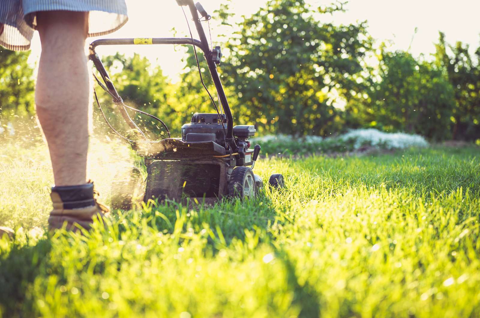 Tips to Save on Lawn Mowing Costs