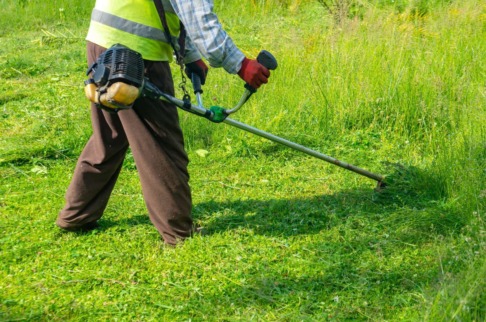 Why Hire a Professional Lawn Mowing Service