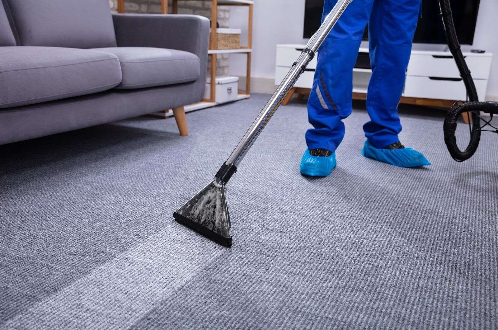 Steam vs Dry Carpet Cleaning in Brisbane