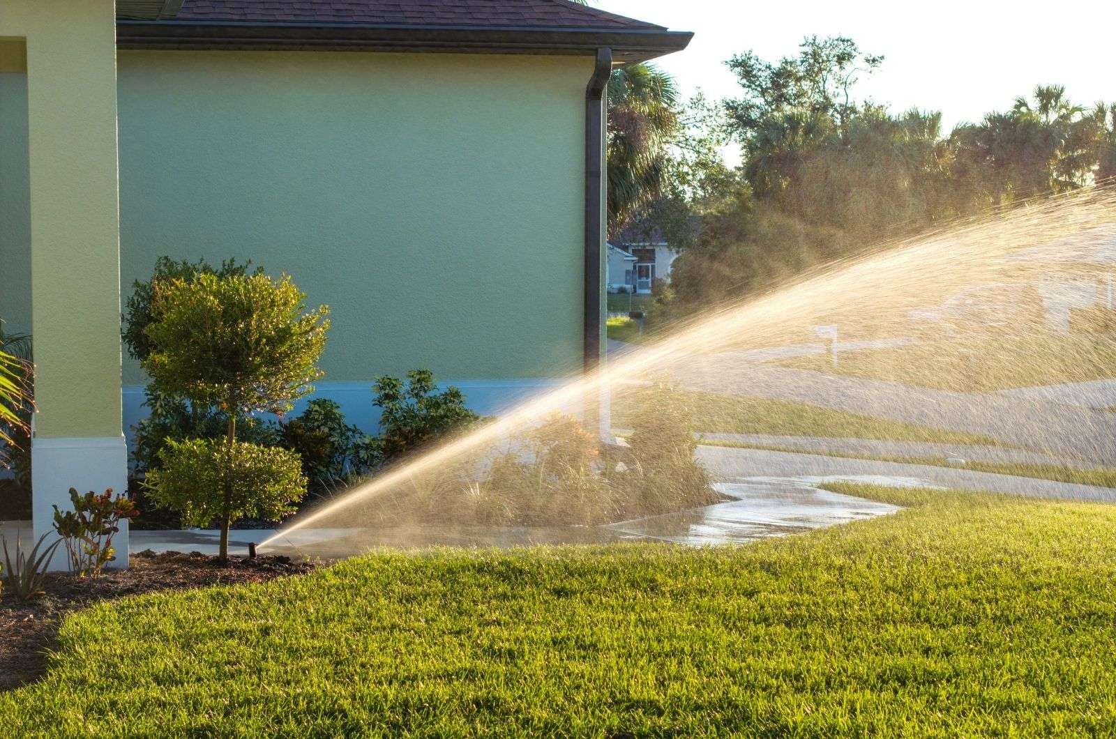 Book Trusted NDIS Cleaning Services in Sydney