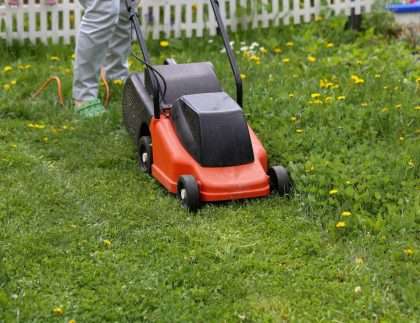 How Much Does Lawn Mowing Cost in Newcastle