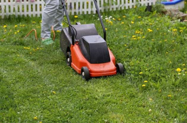 How Much Does Lawn Mowing Cost in Newcastle