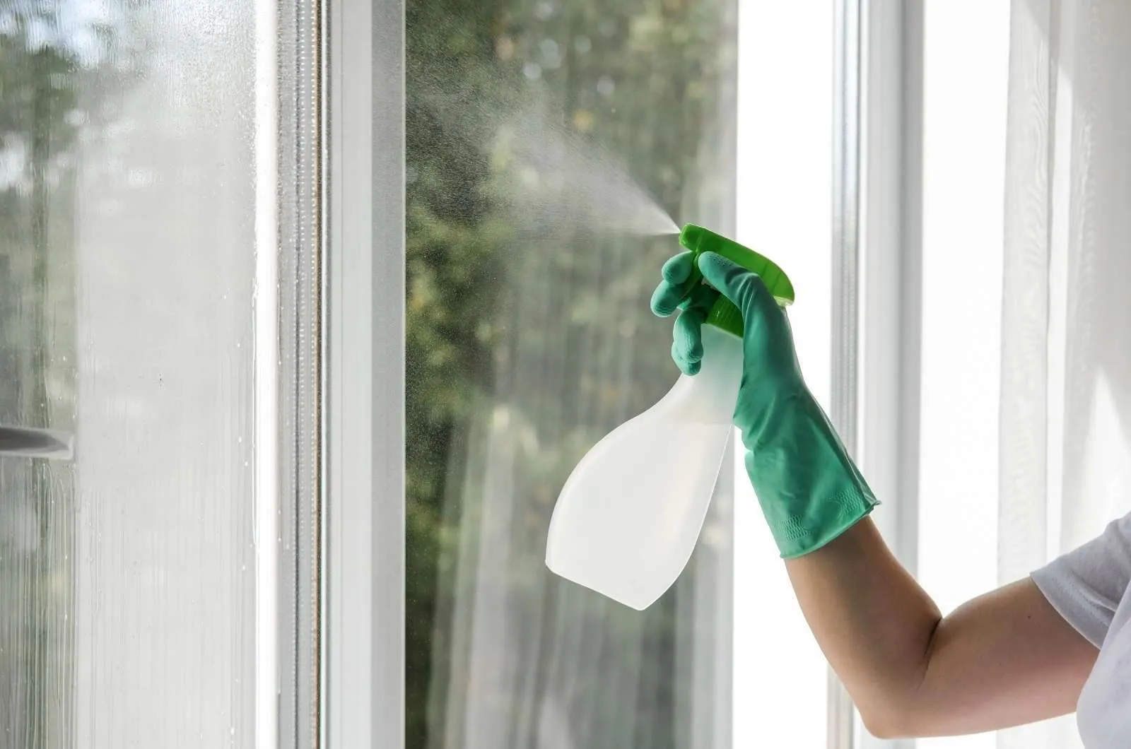 Tips to Save Money on Window Cleaning Services