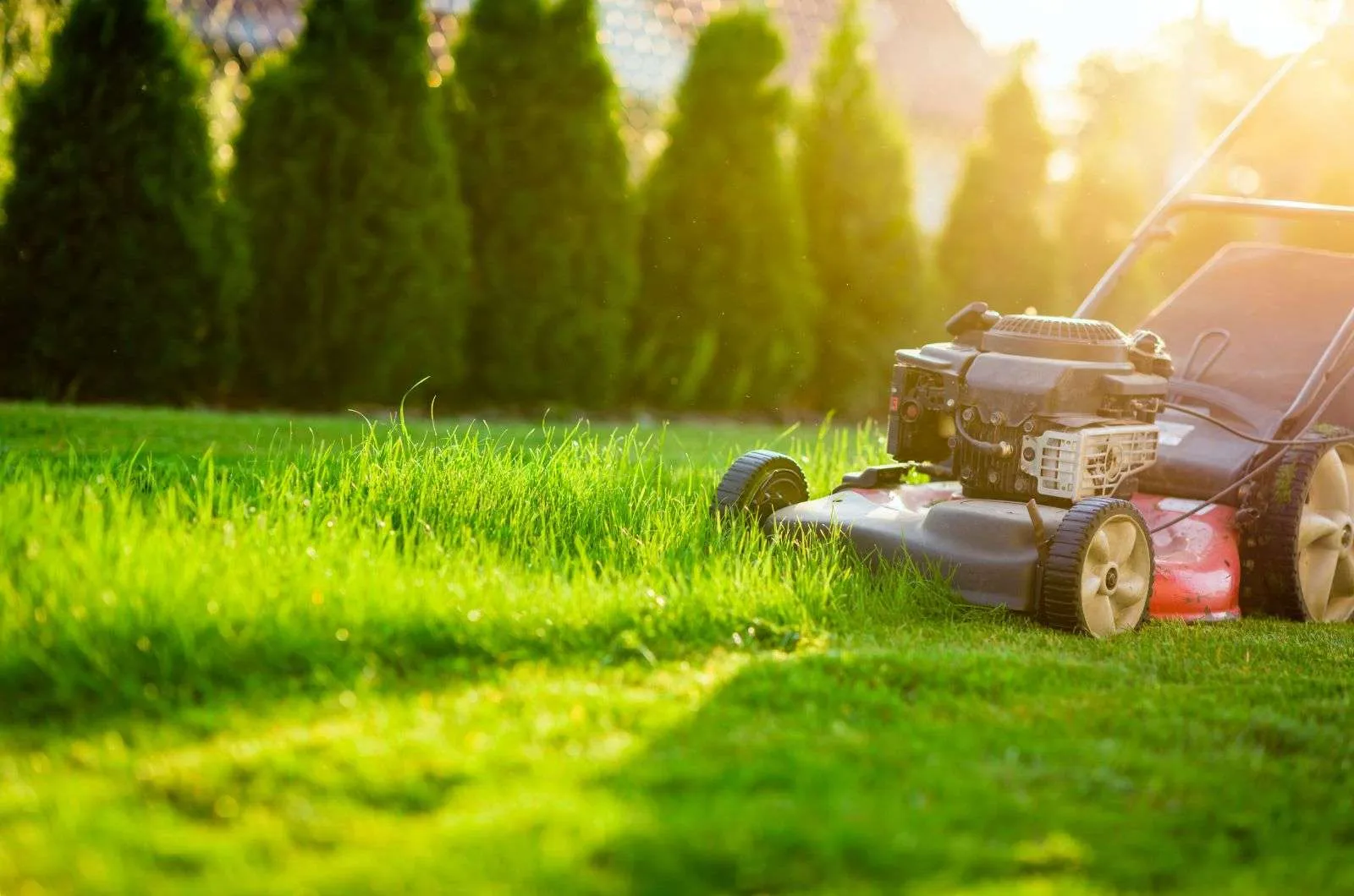 What Affects Lawn Mowing Prices in Newcastle