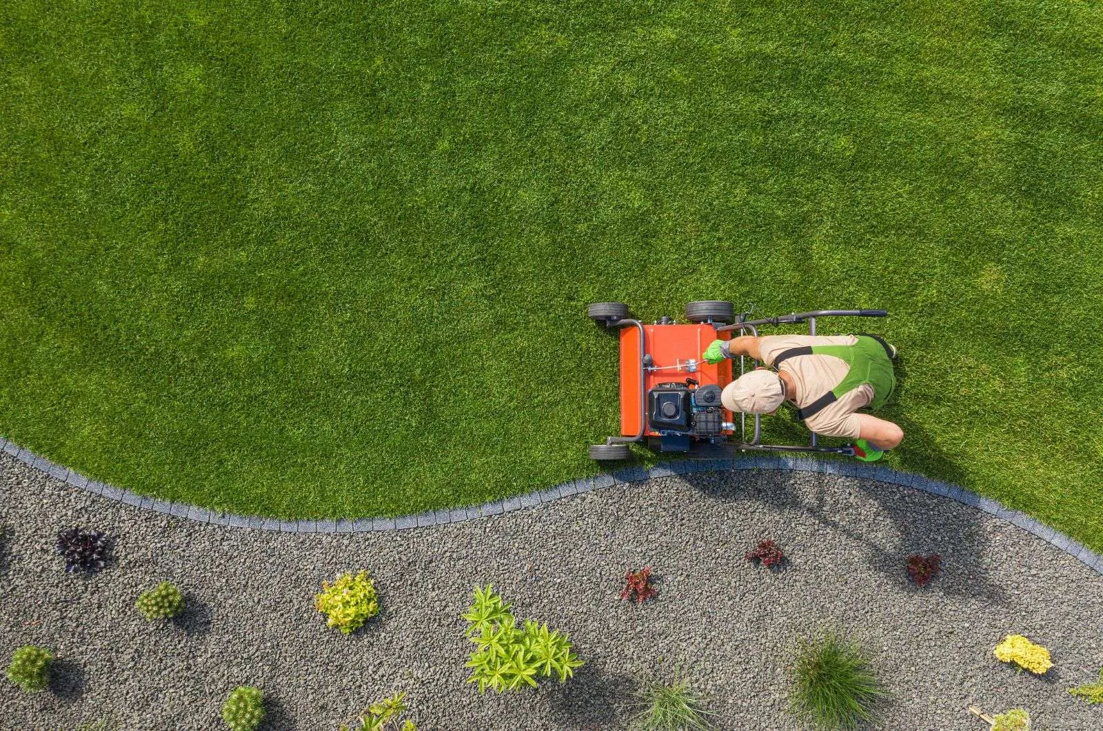 How Much Does Lawn Mowing Cost in Newcastle 4 Why Hiring a Professional Makes a Difference