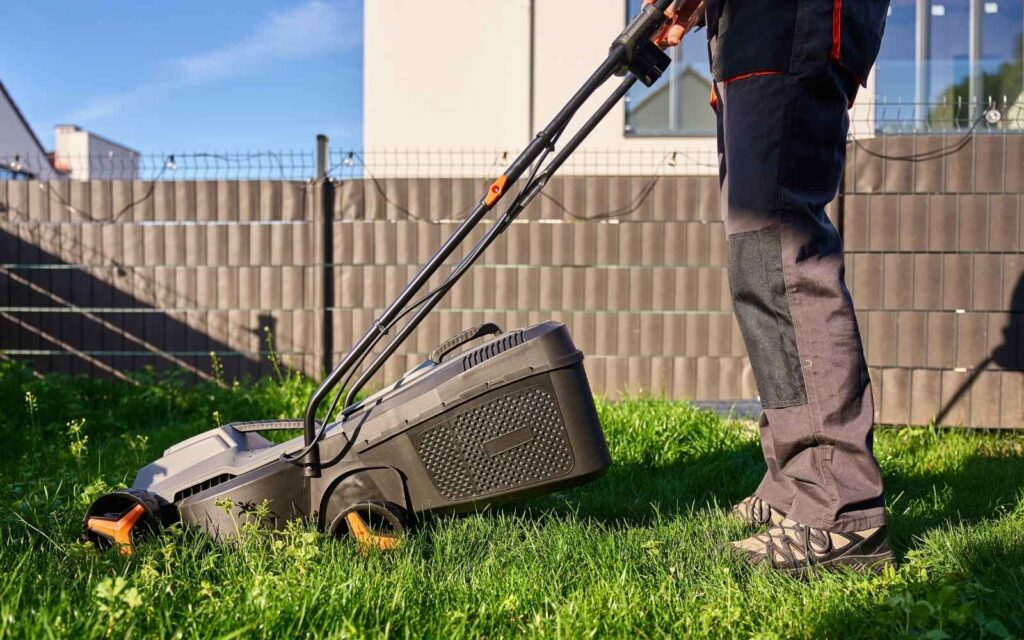 How Much Does Lawn Mowing Cost in Melbourne