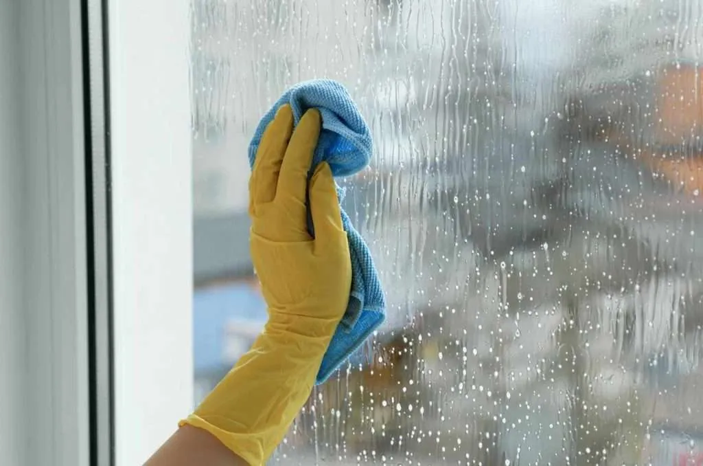 Choosing the Right Window Cleaning Service in Sydney