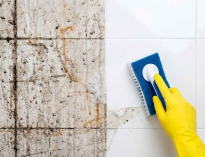 How Often Should I Get My Home Professionally Deep Cleaned