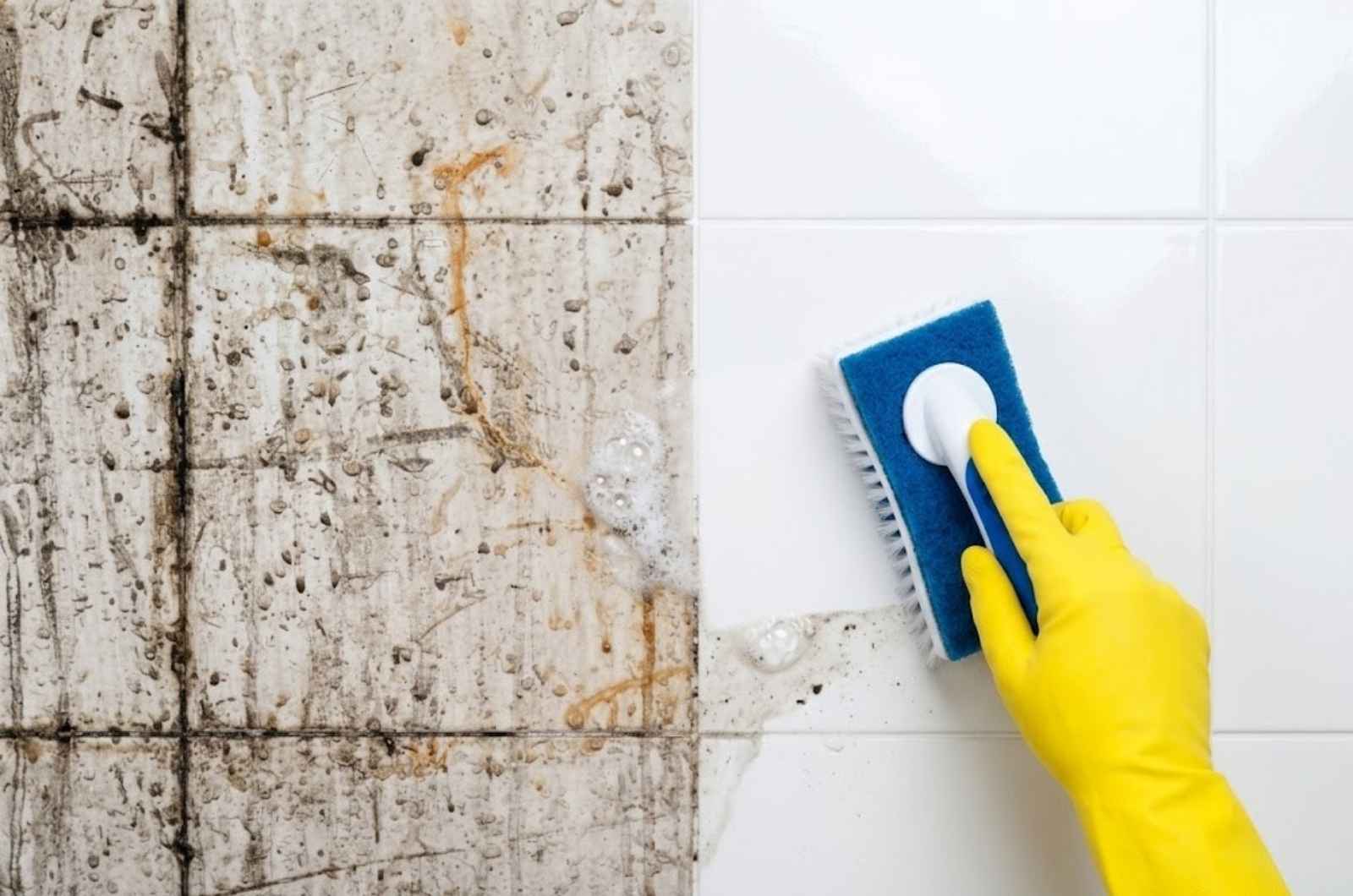 How Often Should I Get My Home Professionally Deep Cleaned