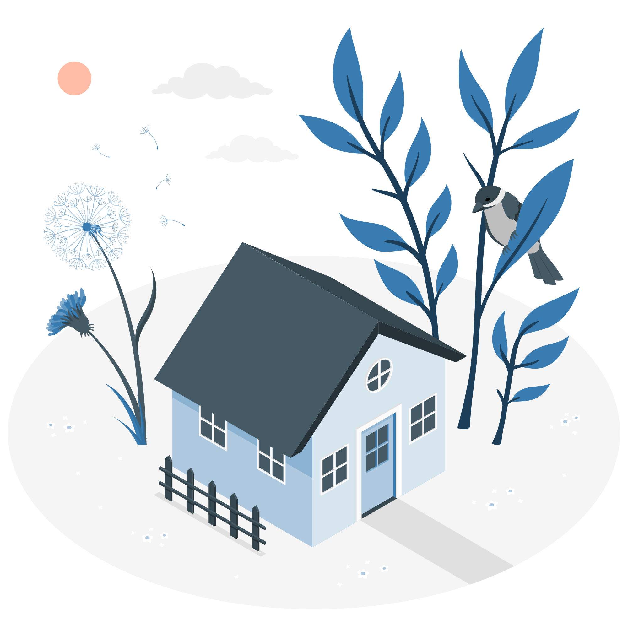 Tiny house-amico